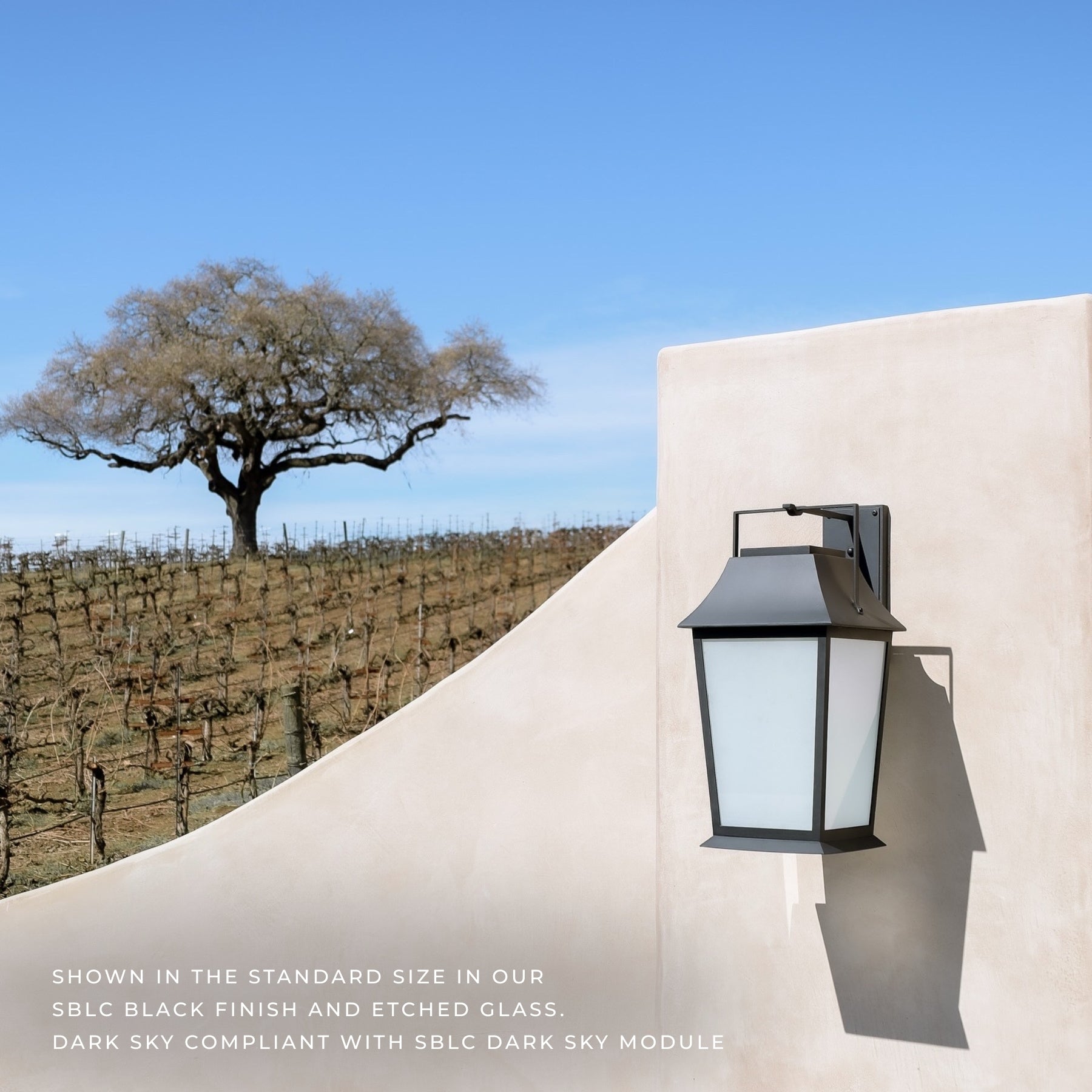 Dark Sky Biltmore Wall Arm Lantern
