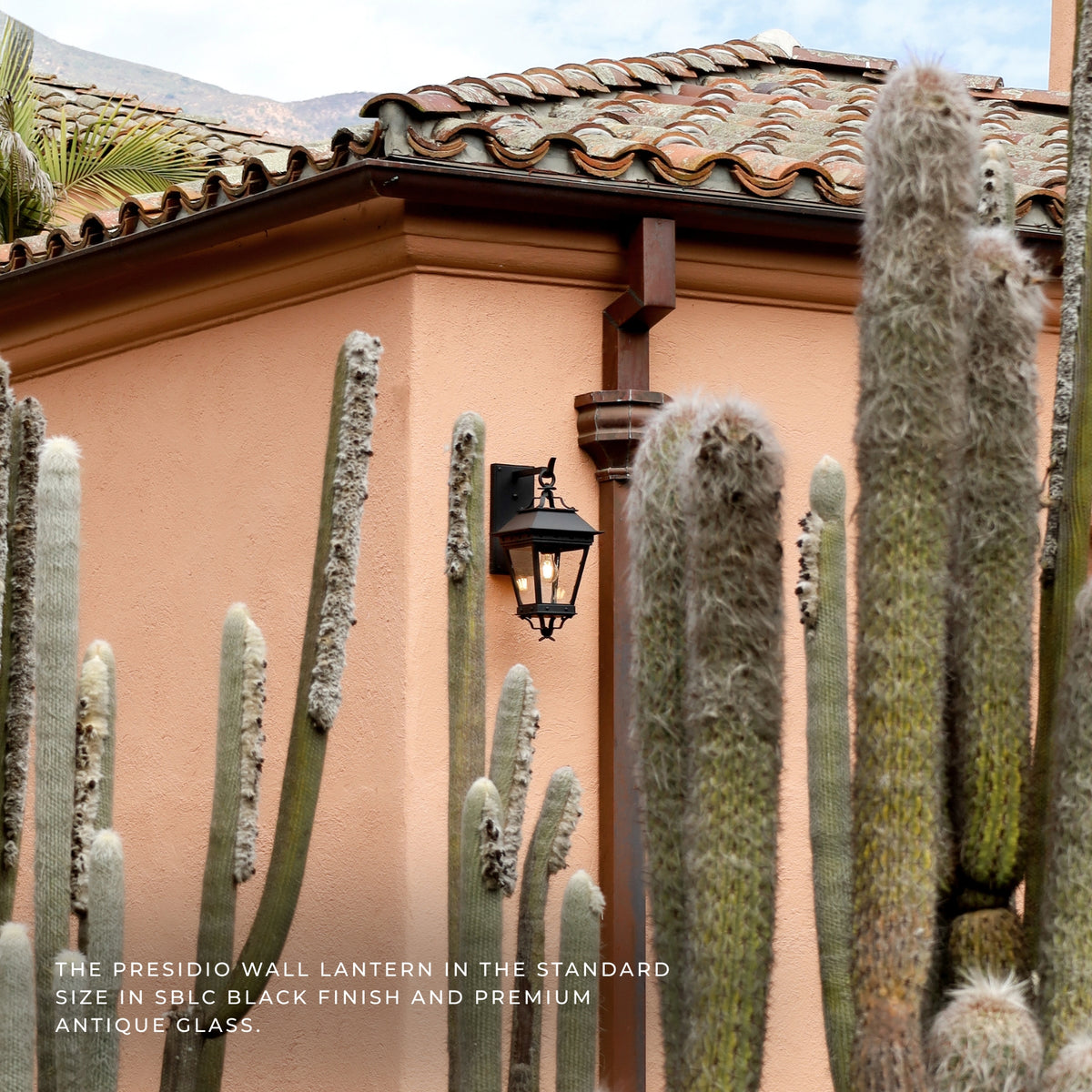 A black outdoor wall lantern mounted on a terracotta stucco building corner, framed by tall desert cacti in the foreground. The lantern has an antique glass finish and is shown in a real architectural outdoor setting.